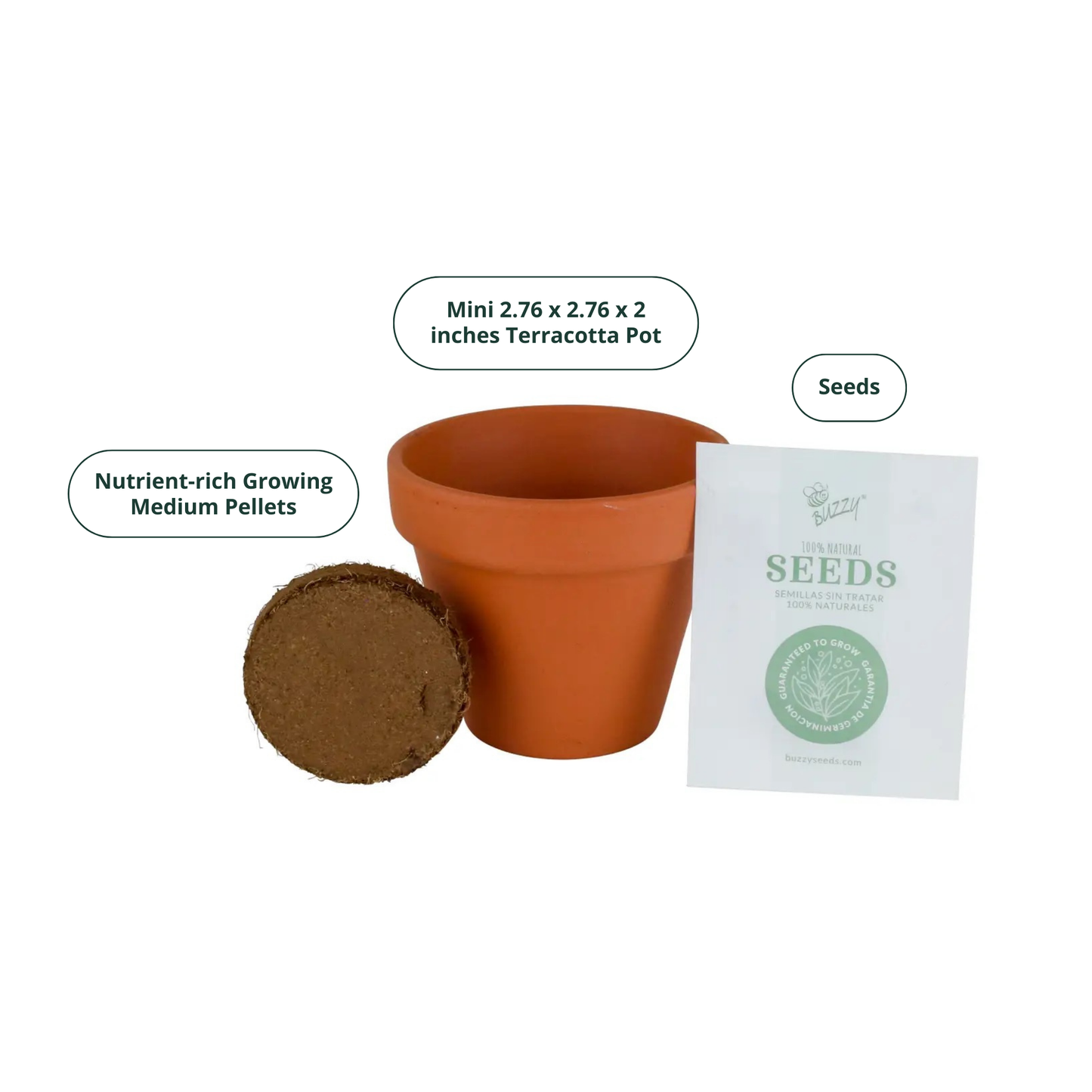 Lavender Grow Kit