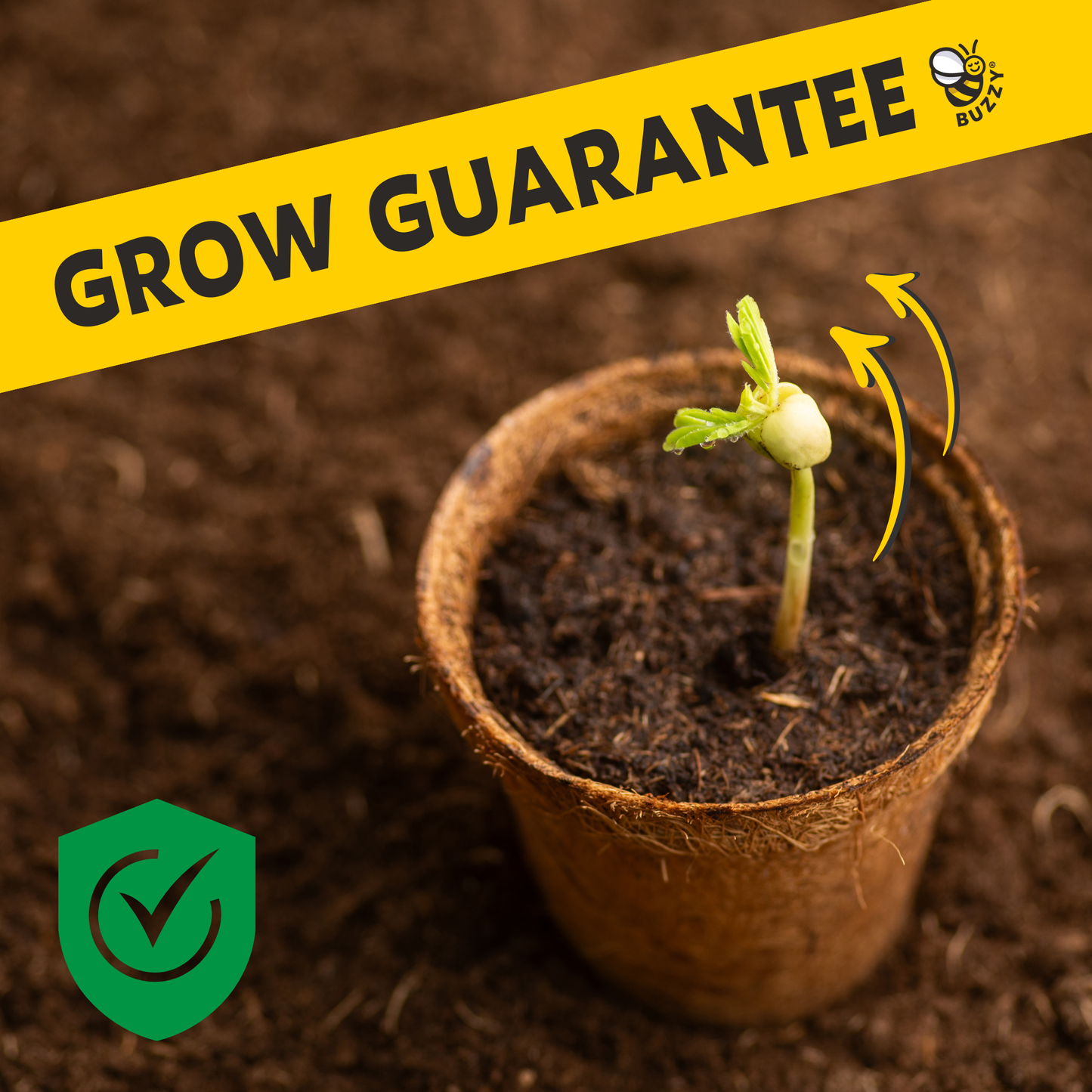 Wild Strawberry Grow Kit