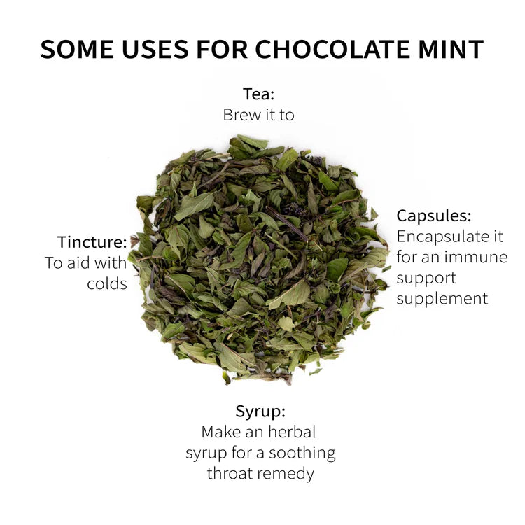Chocolate Peppermint-Tea
