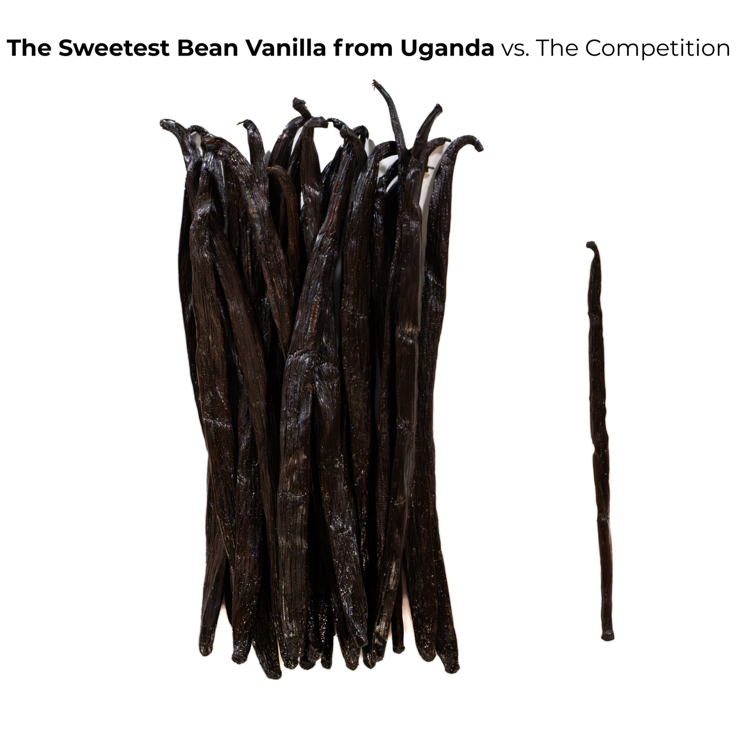 Vanilla Beans