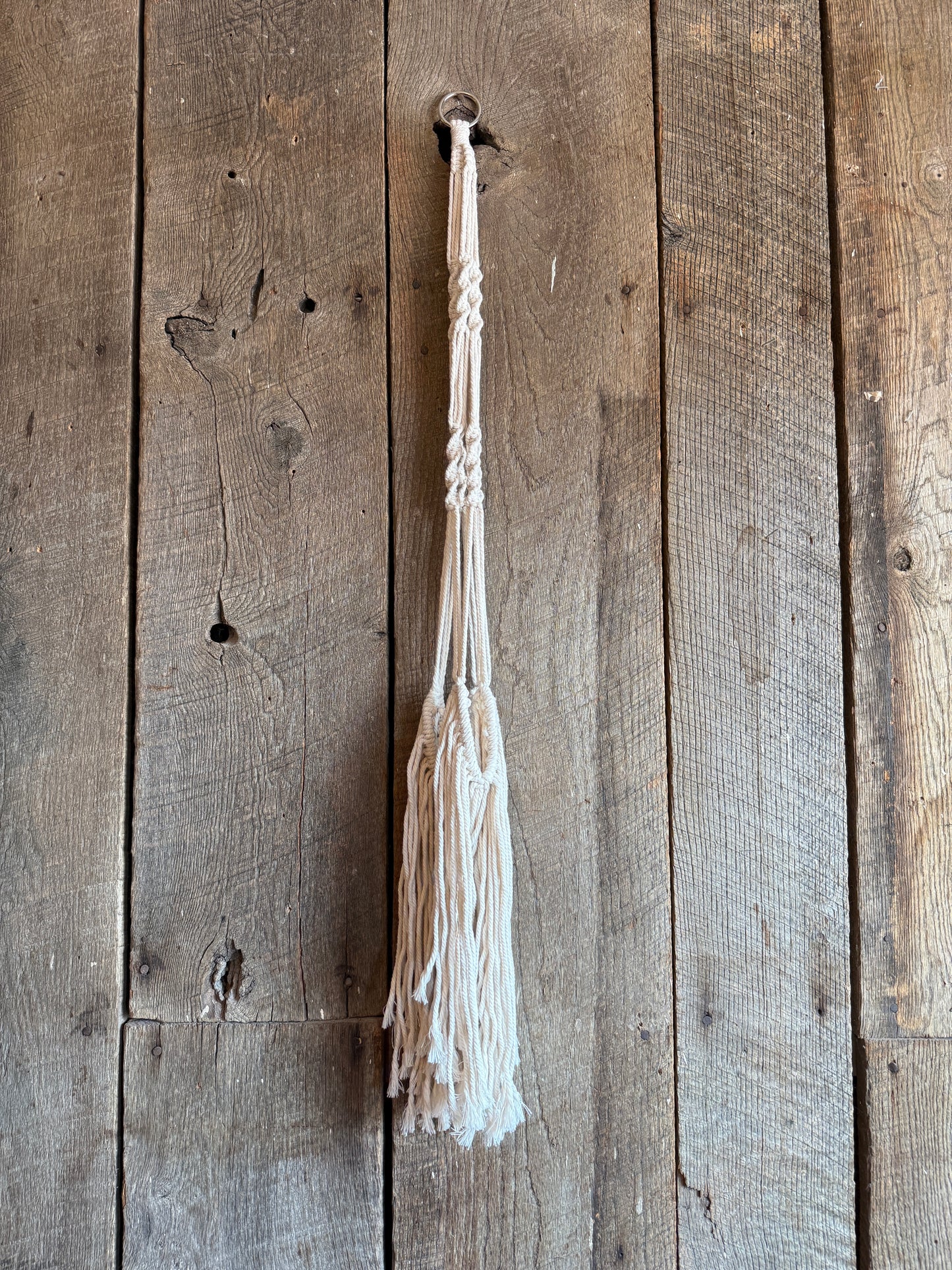Plant Hanger