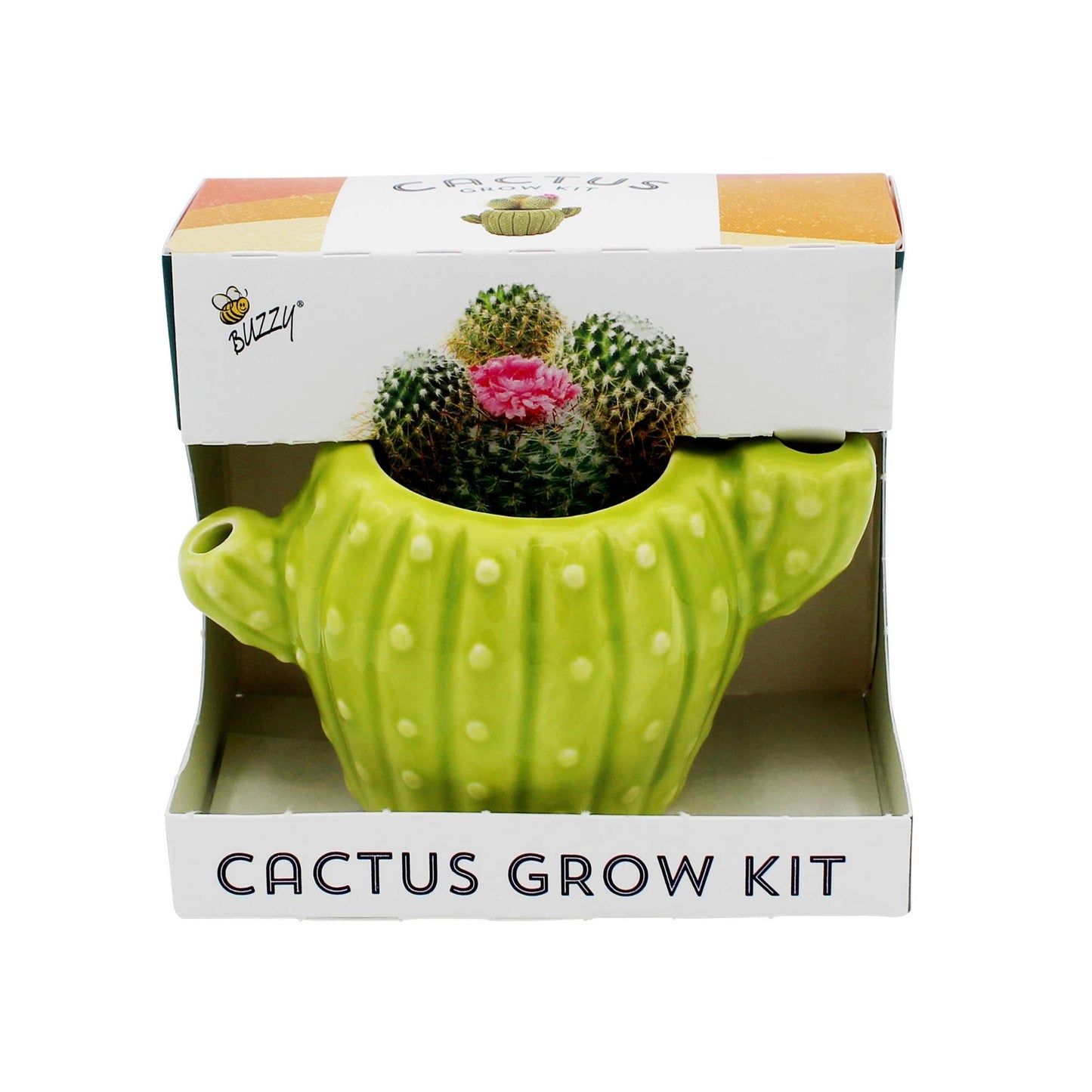 Classic Cactus Grow Kit