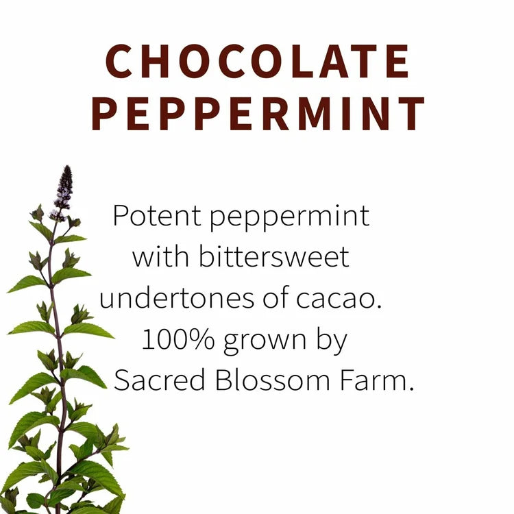 Chocolate Peppermint-Tea