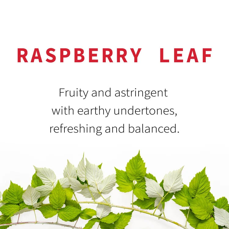 Raspberry Leaf Tea