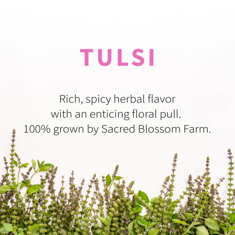 Tulsi-Tea