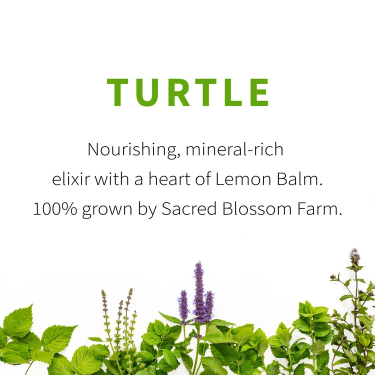 Turtle-Tea
