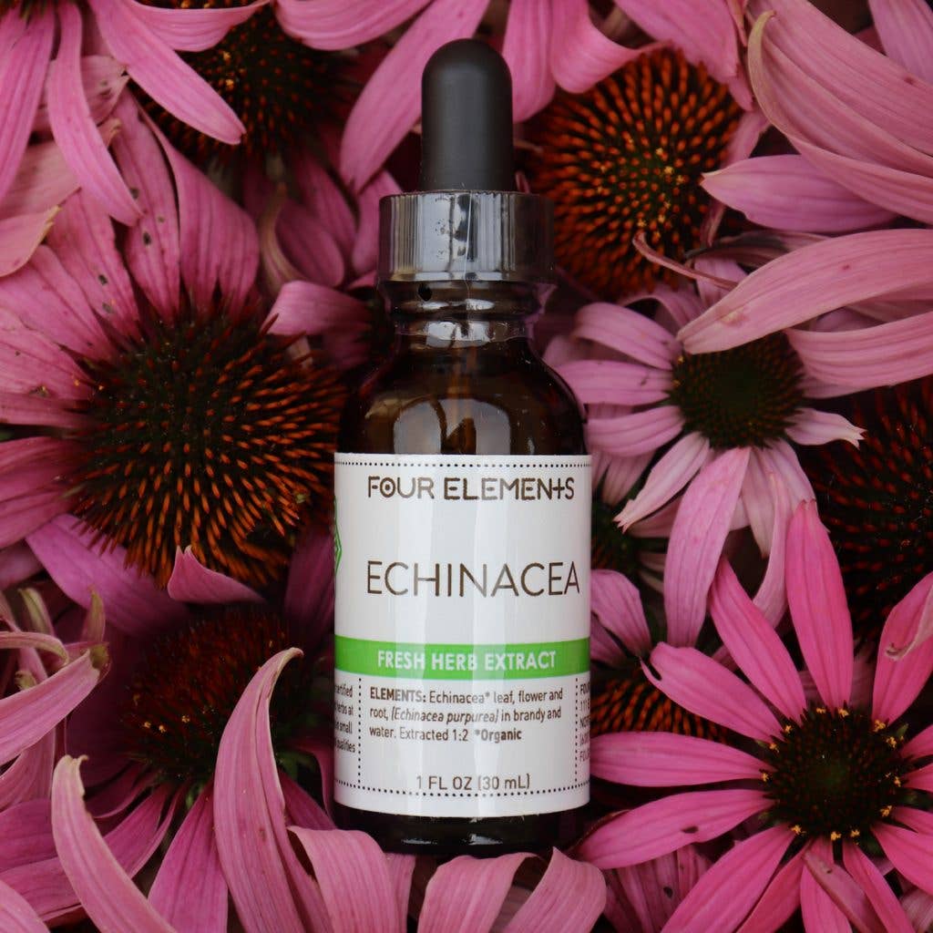 Echinacea Herb Tincture (cold & immune support)