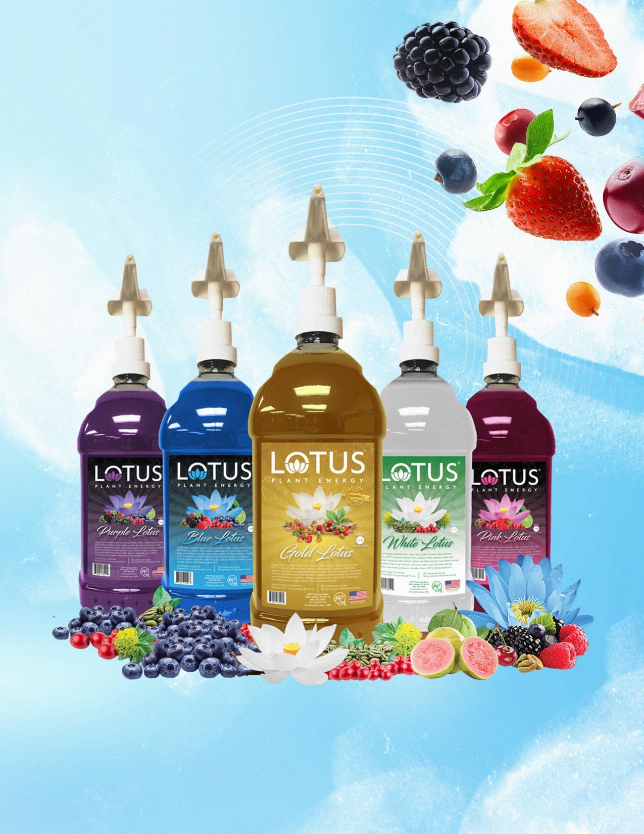 Lotus Tea-Build your own