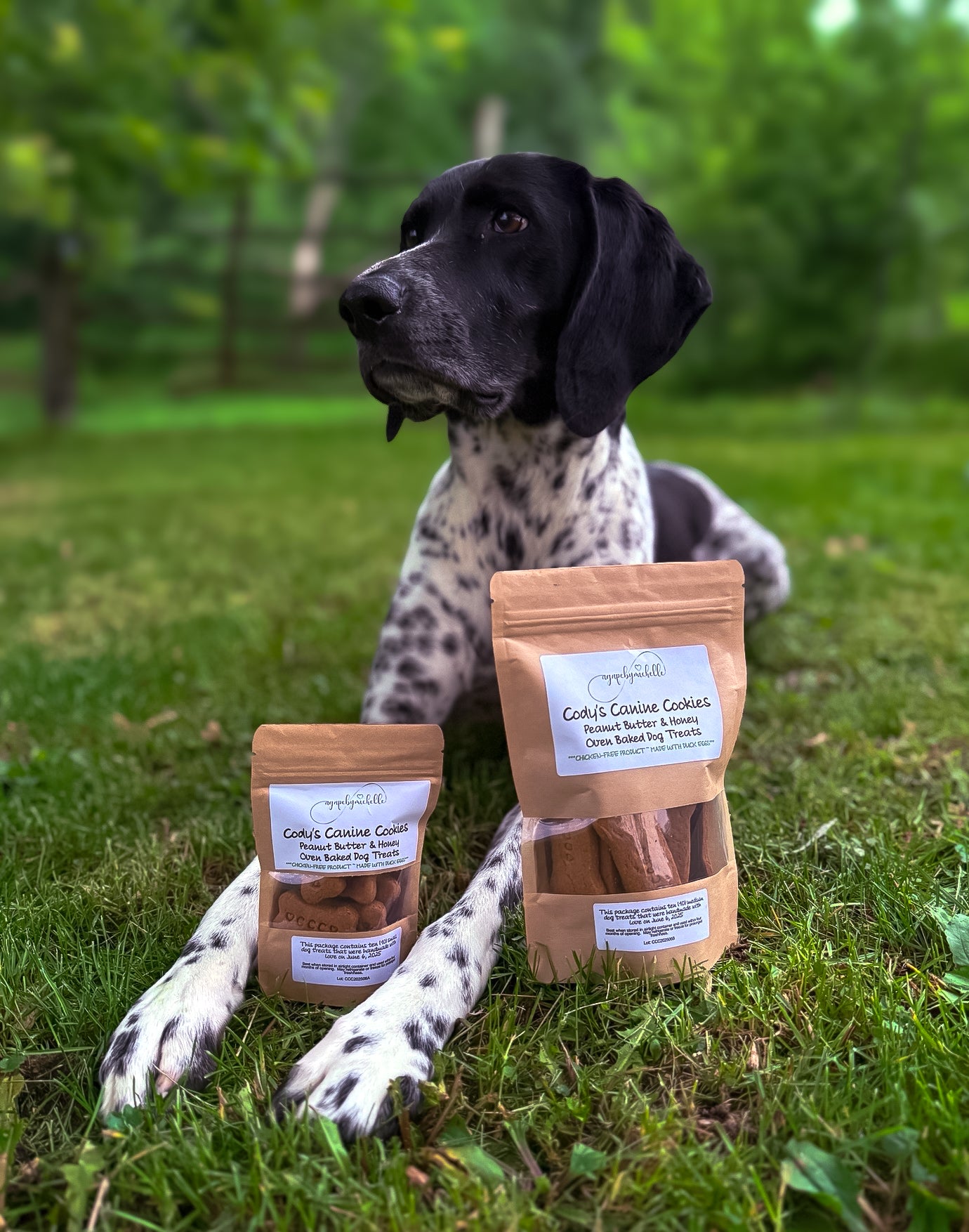 Dog Treats-Cody's Canine Cookies image 0