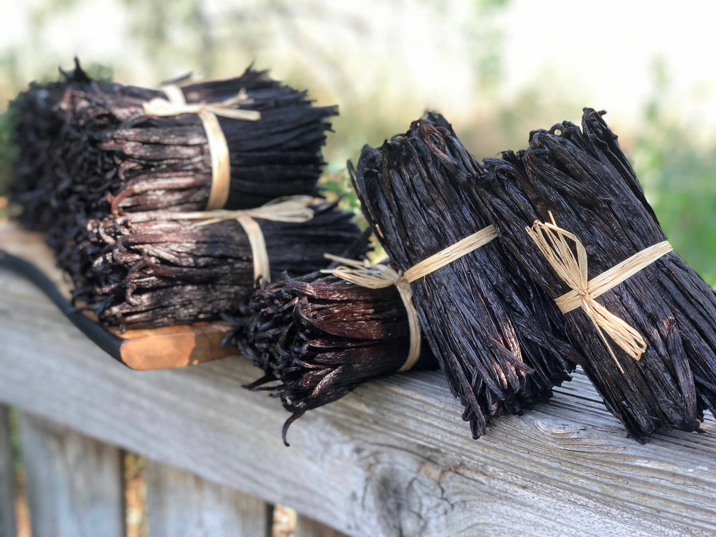 Vanilla Beans