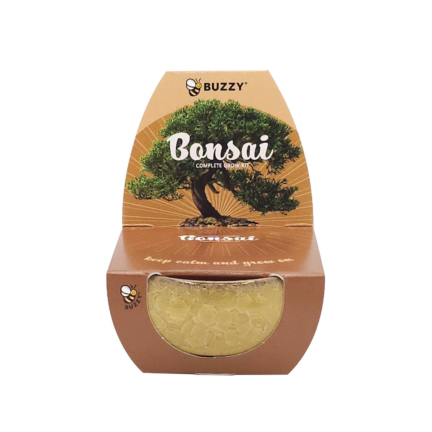 Bonsai Tree Starter Kit