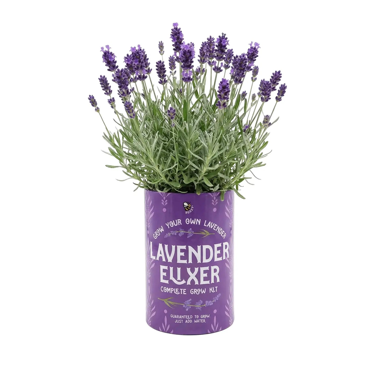 Soda Can Flower Grow Kit