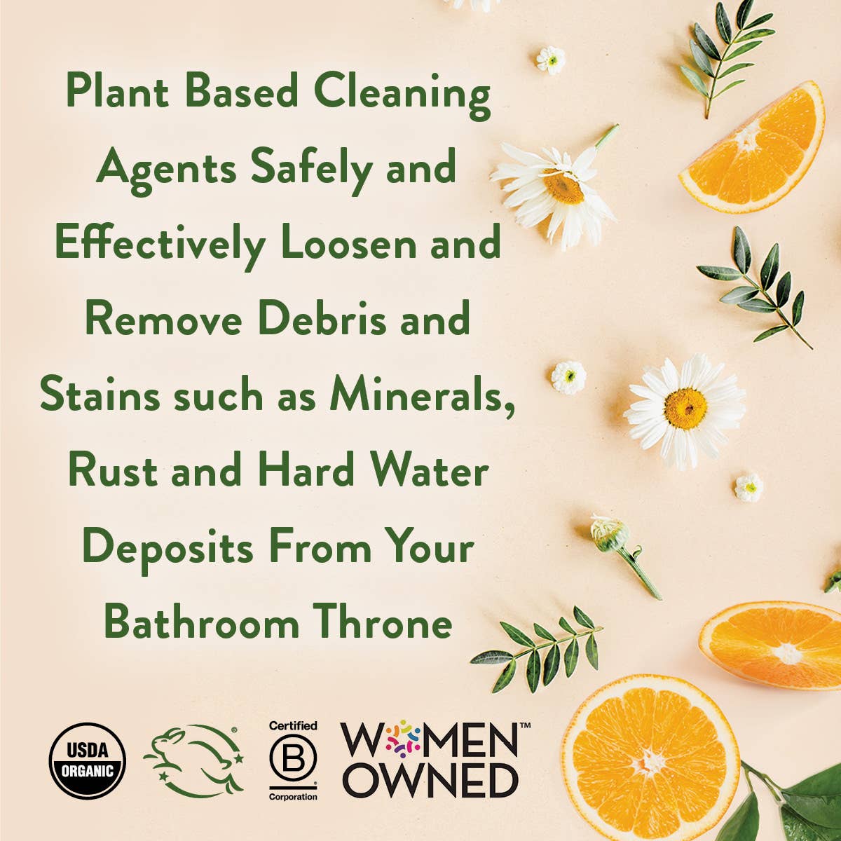 Toilet Bowl Cleaner