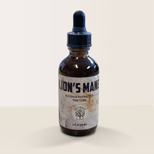 Lion's Mane Tincture