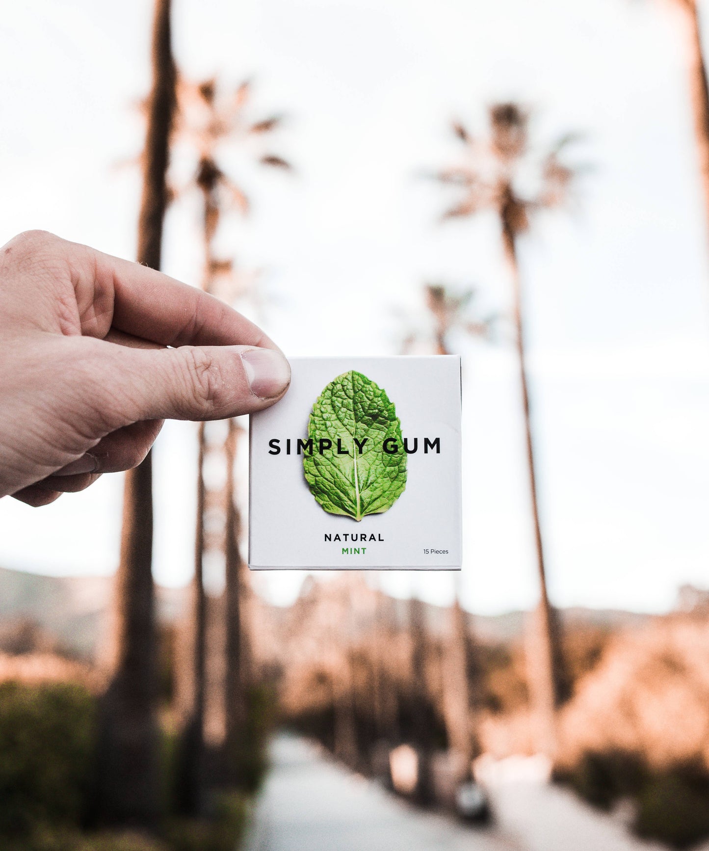 Peppermint Chewing Gum - Natural