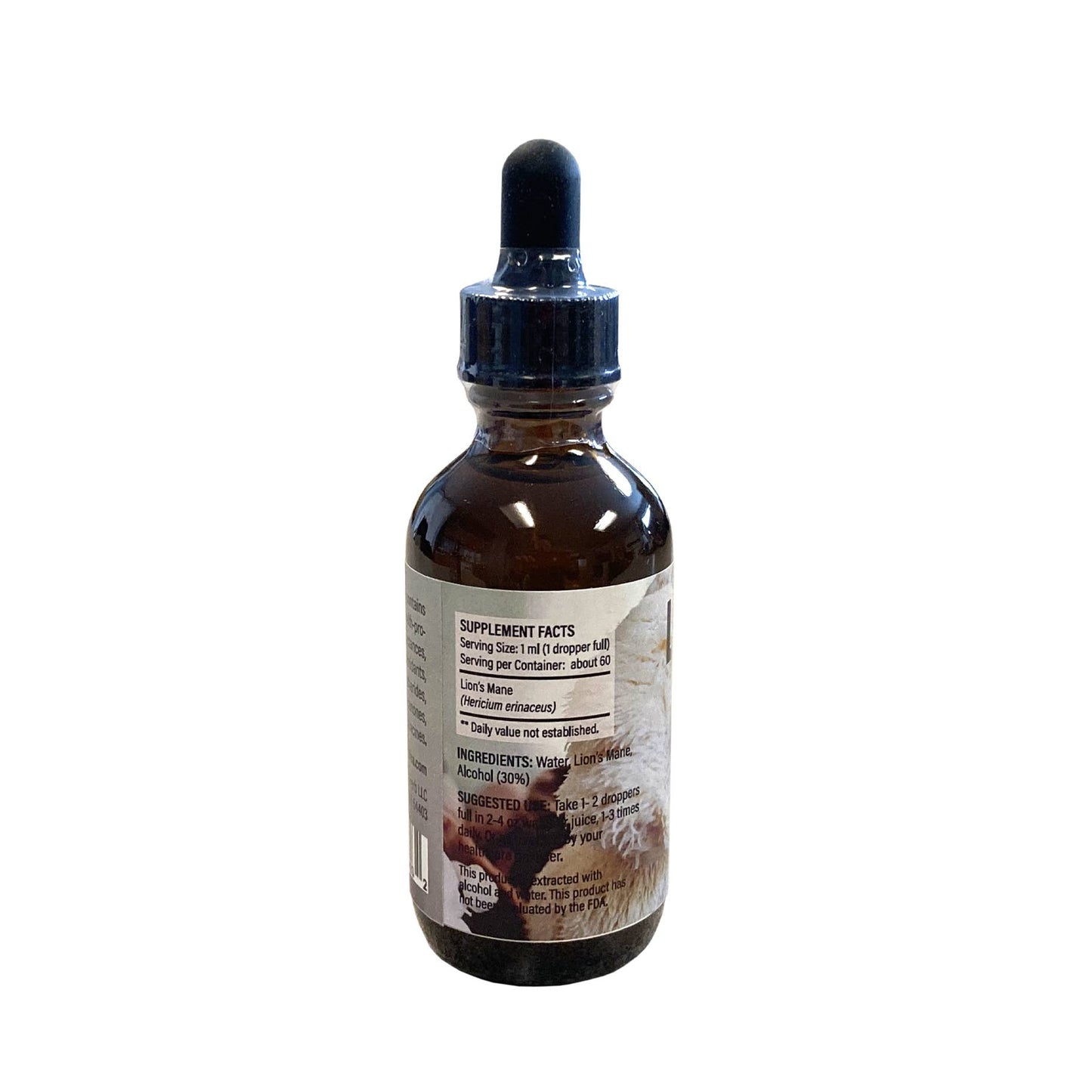 Lion's Mane Tincture